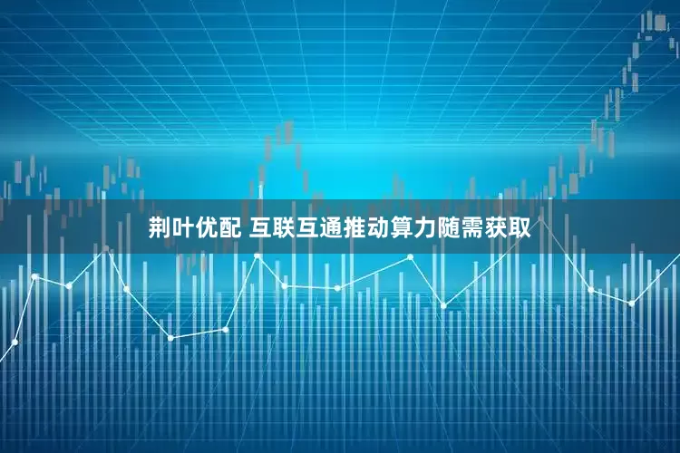 荆叶优配 互联互通推动算力随需获取