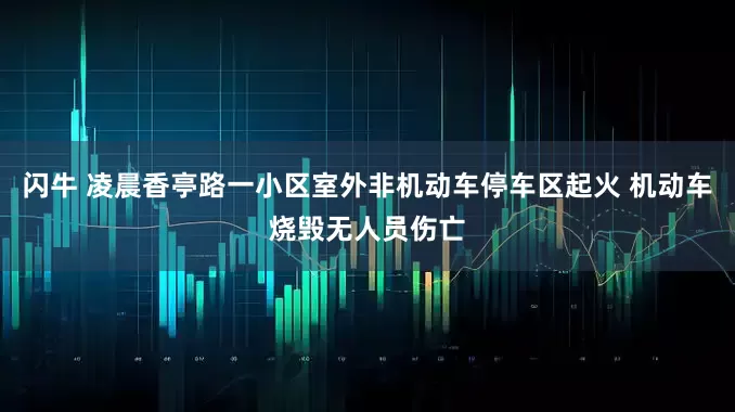 闪牛 凌晨香亭路一小区室外非机动车停车区起火 机动车烧毁无人员伤亡