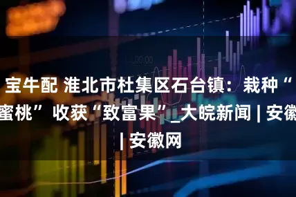 宝牛配 淮北市杜集区石台镇：栽种“甜蜜桃” 收获“致富果”_大皖新闻 | 安徽网