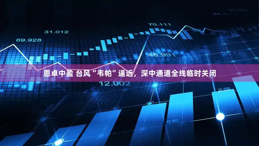 恩卓中盈 台风“韦帕”逼近，深中通道全线临时关闭