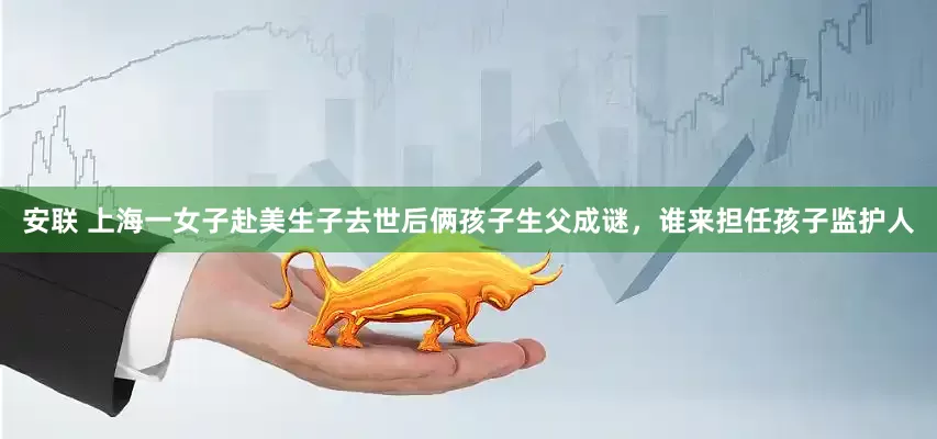 安联 上海一女子赴美生子去世后俩孩子生父成谜，谁来担任孩子监护人
