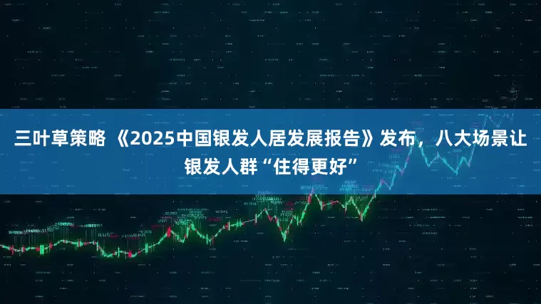 三叶草策略 《2025中国银发人居发展报告》发布，八大场景让银发人群“住得更好”